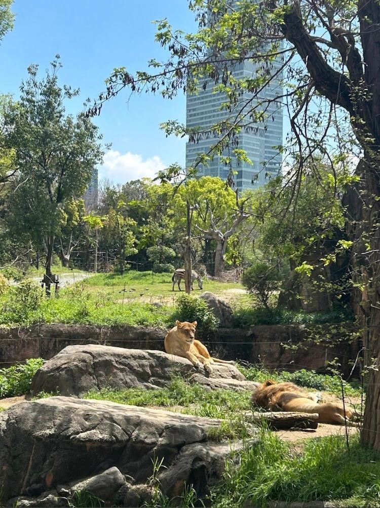 アパート Reifa宿泊動物園前1